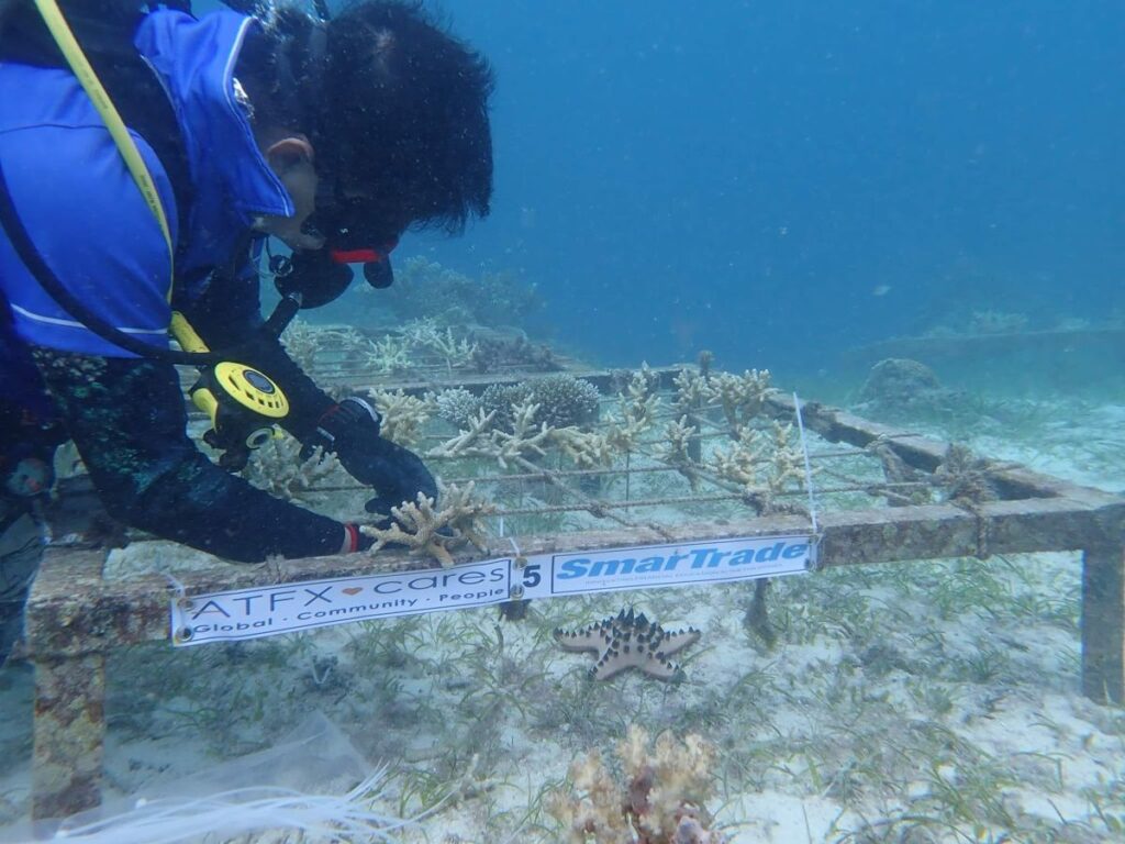 CSR in Panglao Dive Festival in Bohol with a coastal clean-up and reef rescue.